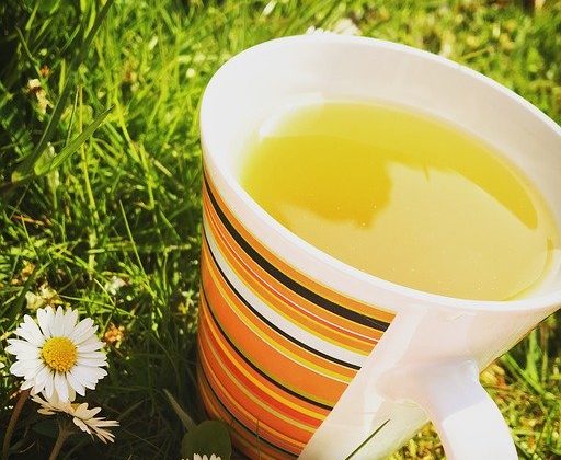 How to Make Green Tea: A Beginner’s Guide to Brewing the Perfect Cup